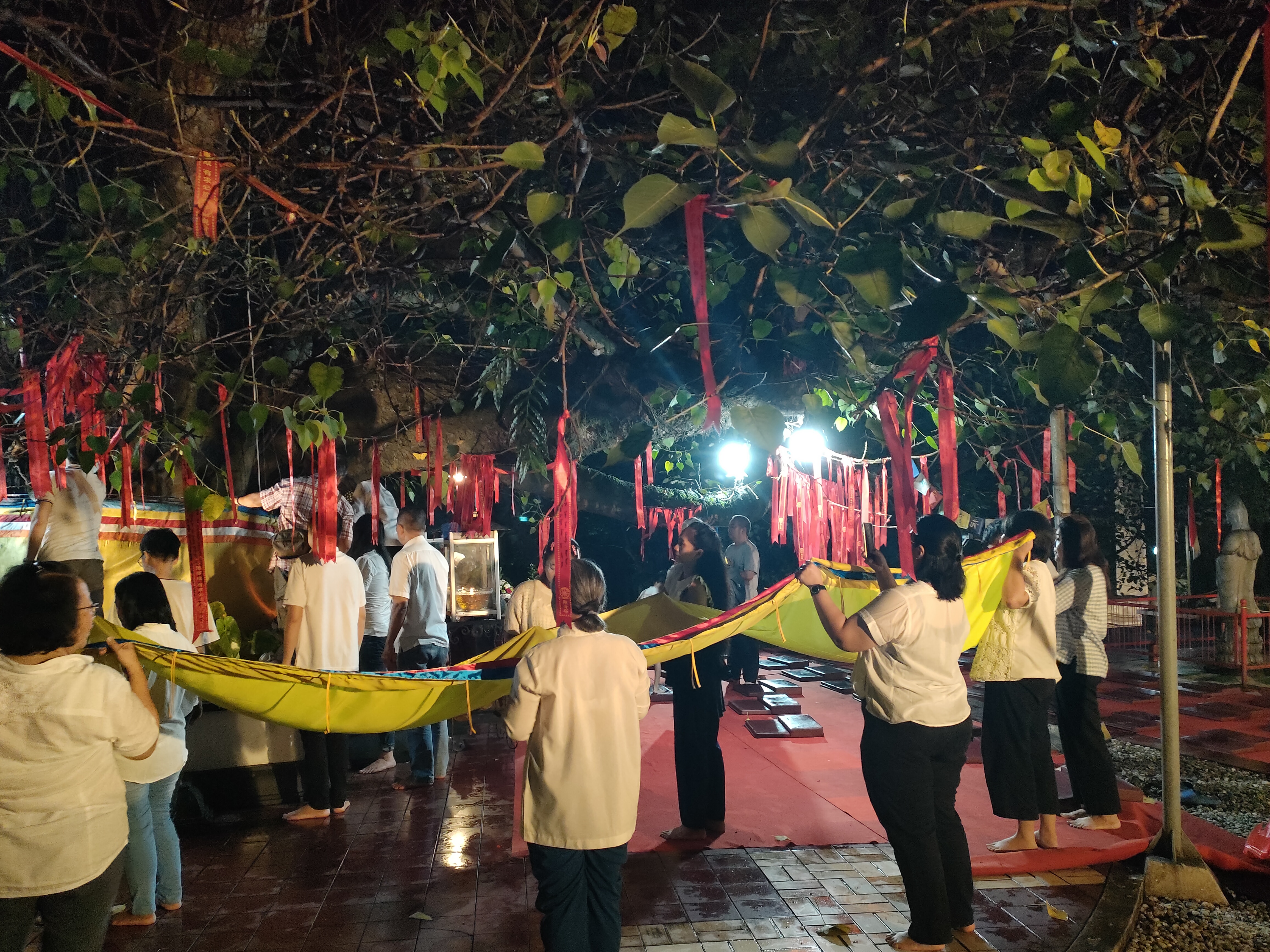 Upacara Pergantian Pohon Bodhi di Vihara Buddhagaya Watugong: Simbol Pembaruan Spiritual Umat Buddha Semarang